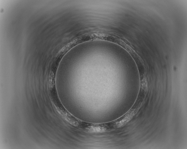 X0000085810464200703231340