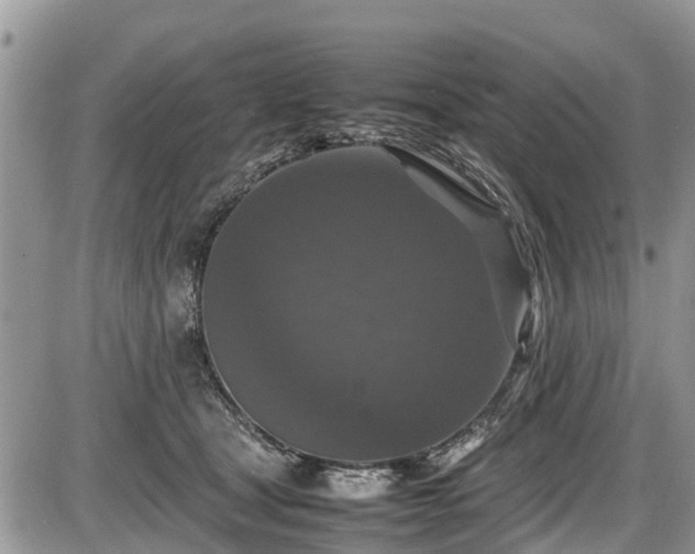 X0000085810465200703231340