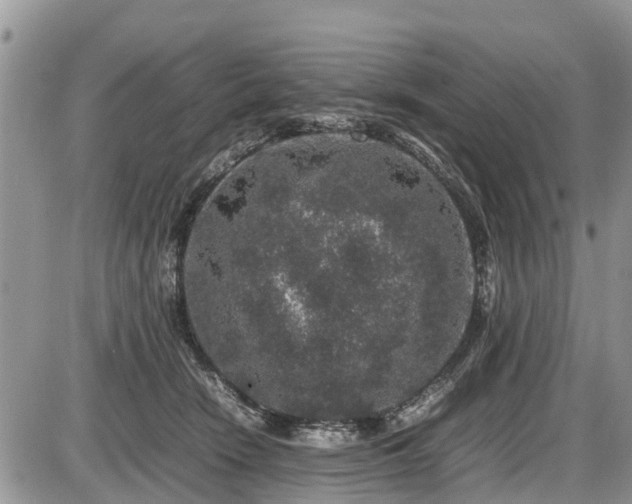 X0000085810466200703231340