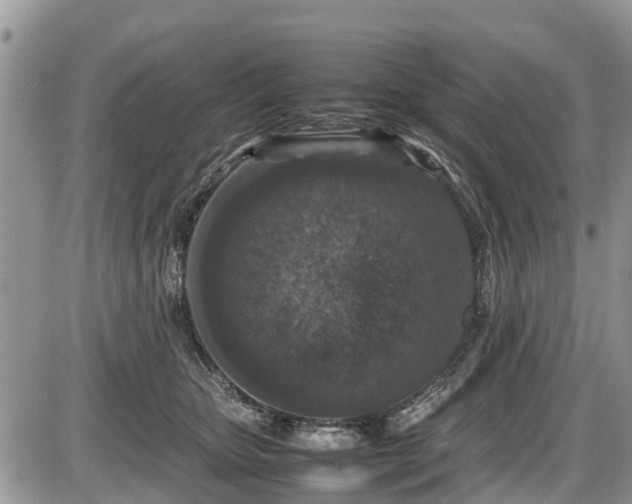 X0000085810467200703231340