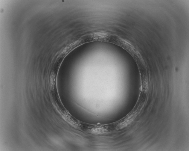 X0000085810468200703231340