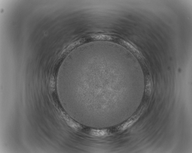 X0000085810469200703231340