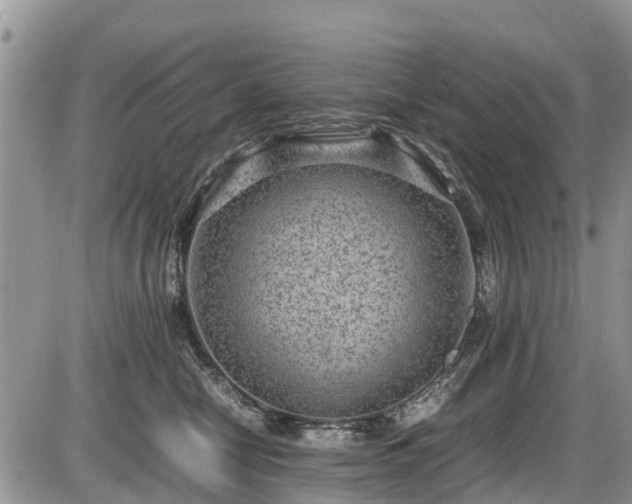 X0000085810470200703231340