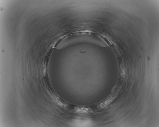 X0000085810471200703231340