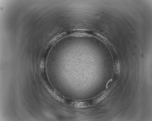 X0000085810472200703231340