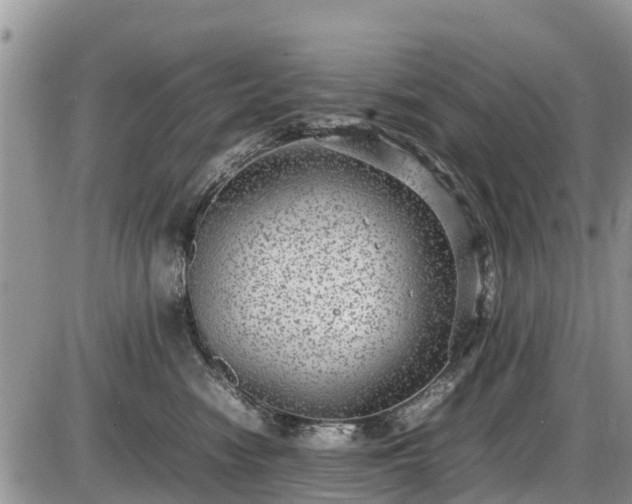 X0000085810474200703231340