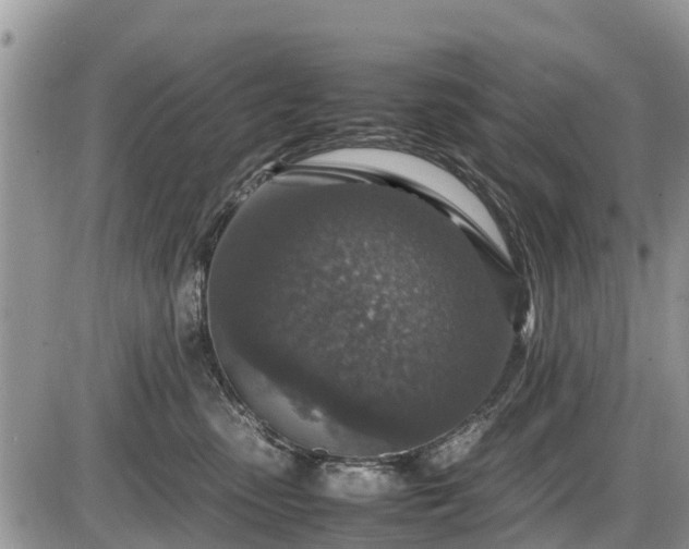 X0000085810475200703231340