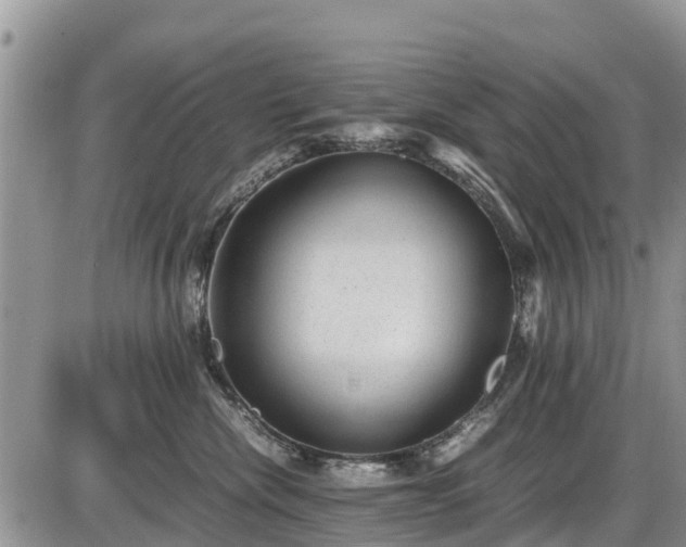 X0000085810476200703231340