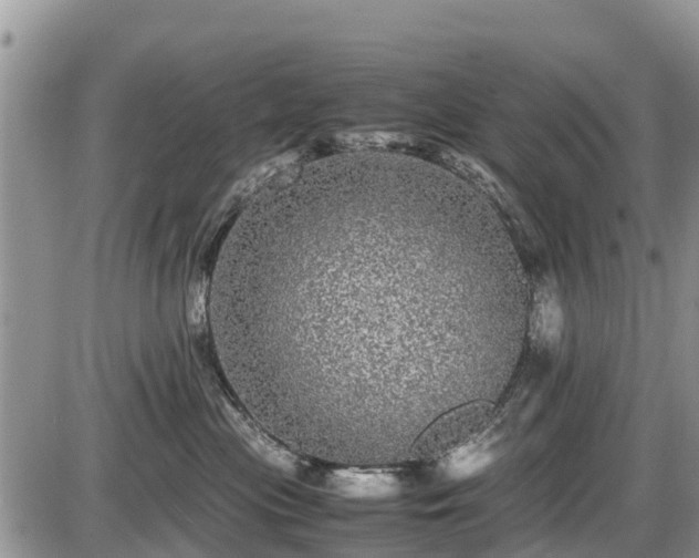 X0000085810477200703231340