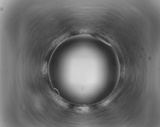 X0000085810478200703231340