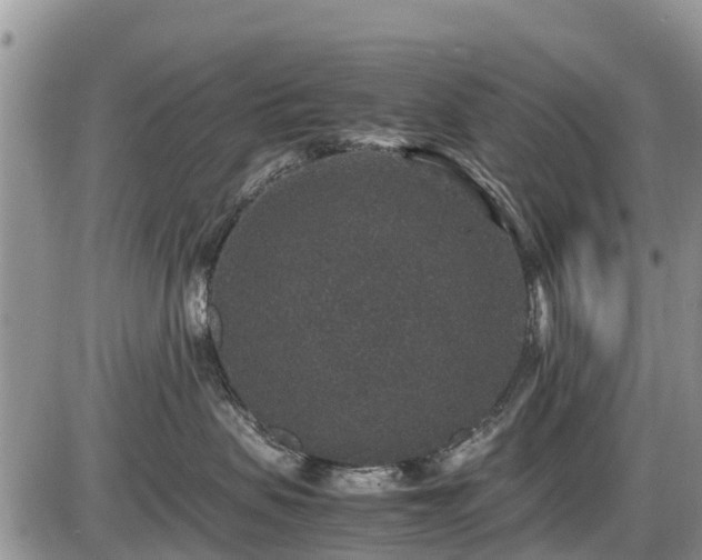 X0000085810479200703231340