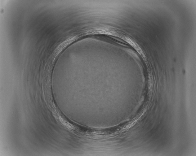 X0000085810481200703231340