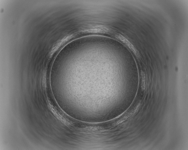 X0000085810482200703231340