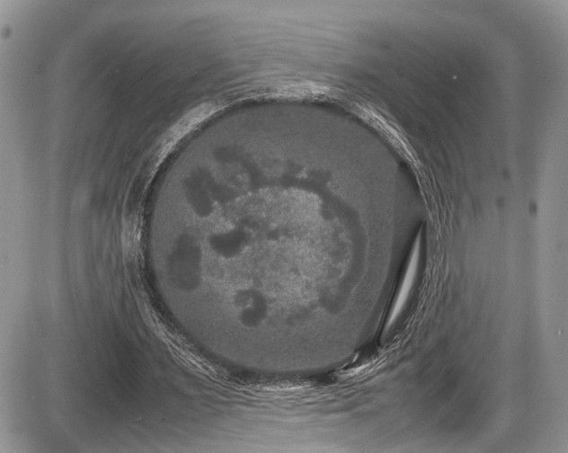 X0000085810483200703231340