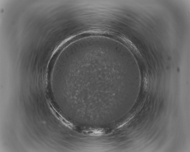 X0000085810484200703231340