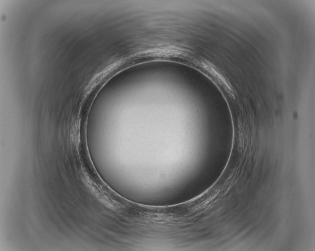 X0000085810486200703231340