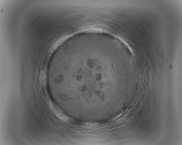 X0000085810487200703231340