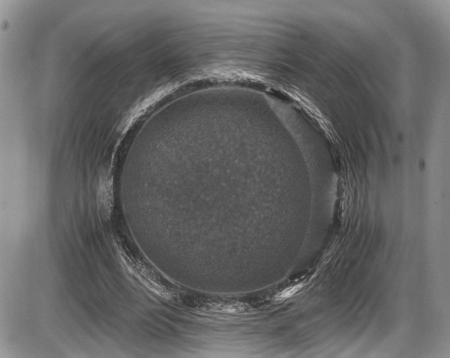 X0000085810488200703231339