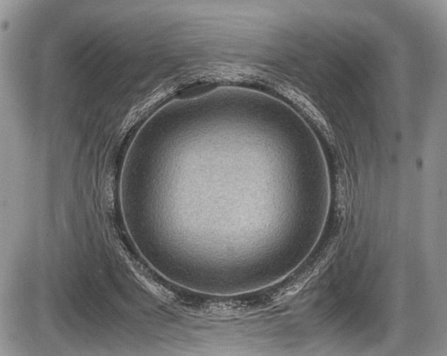 X0000085810489200703231339