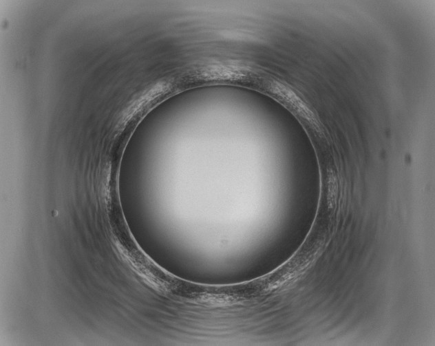 X0000085810490200703231339