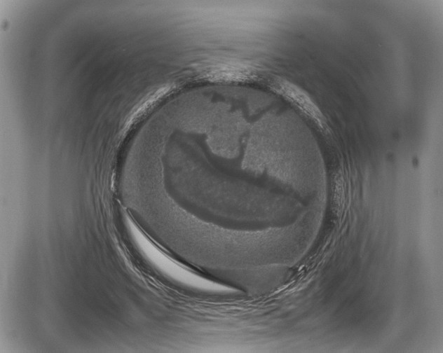 X0000085810491200703231339