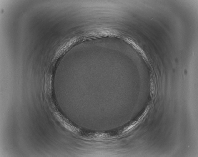 X0000085810493200703231339