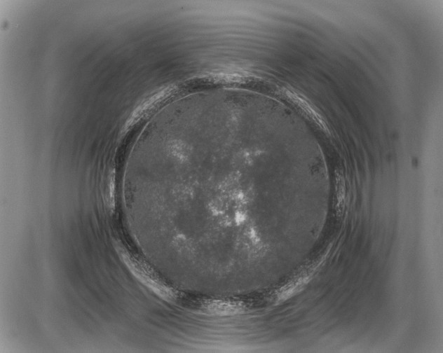 X0000085810494200703231339