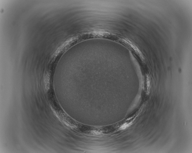 X0000085810496200703231339