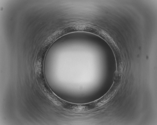 X0000085810497200703231339