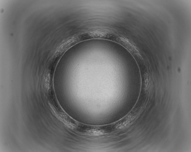 X0000085810498200703231339