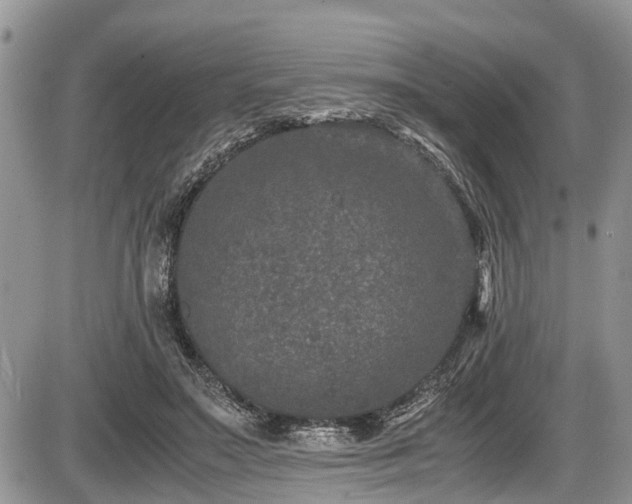 X0000085810499200703231339