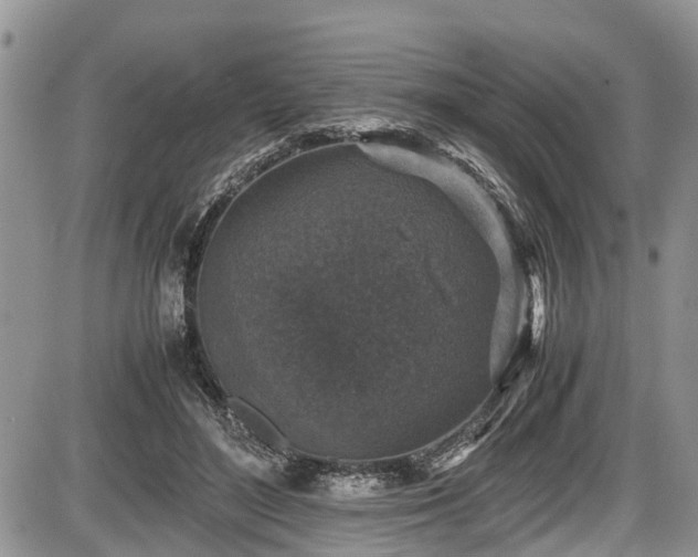 X0000085810500200703231339