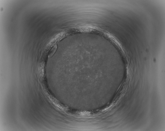 X0000085810501200703231339