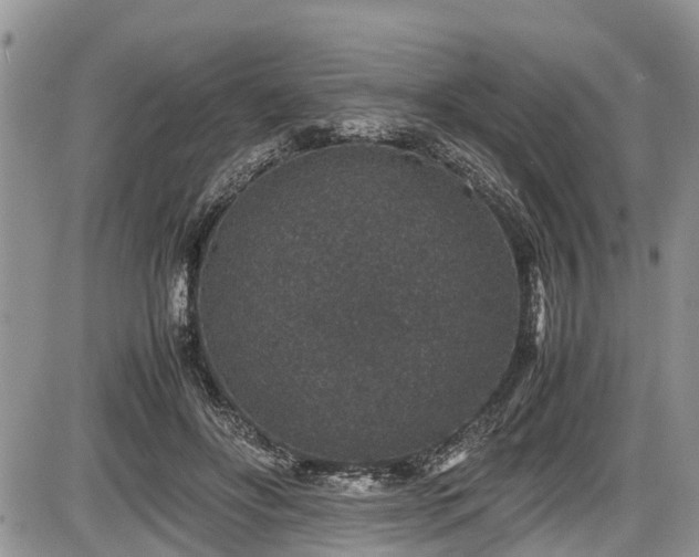 X0000085810502200703231339