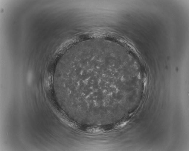 X0000085810503200703231339