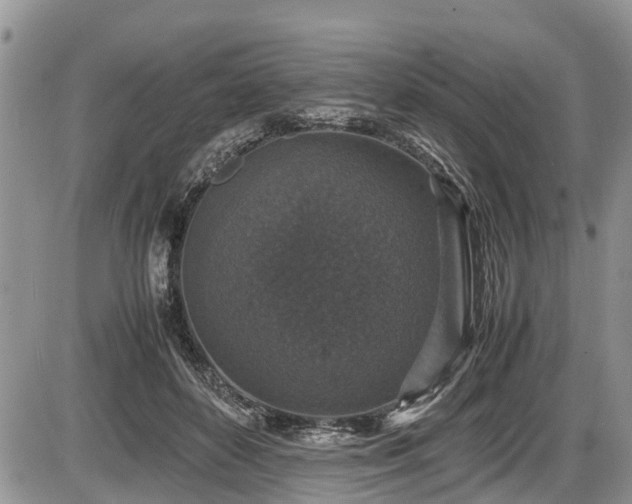 X0000085810504200703231339