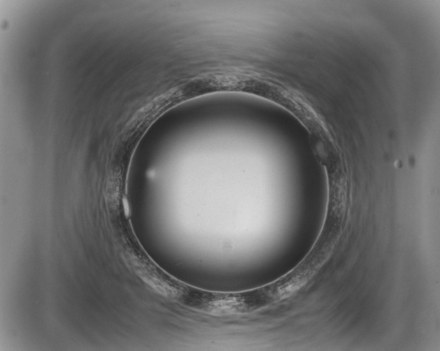 X0000085810505200703231339