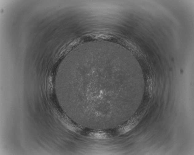 X0000085810506200703231339