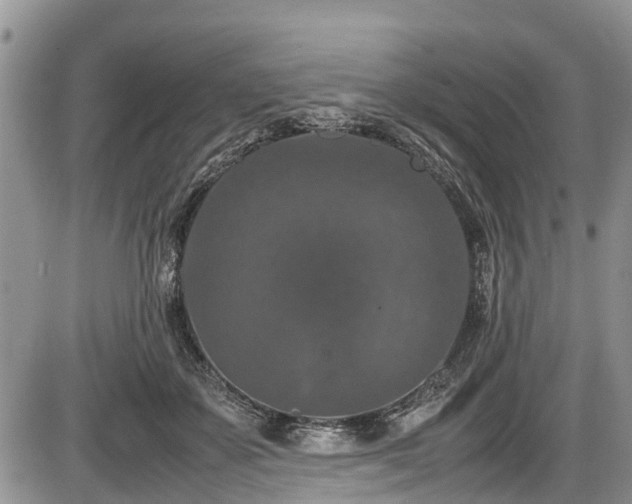 X0000085810507200703231339