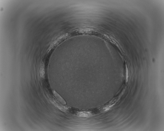 X0000085810508200703231339