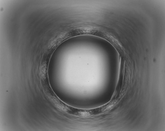 X0000085810509200703231339