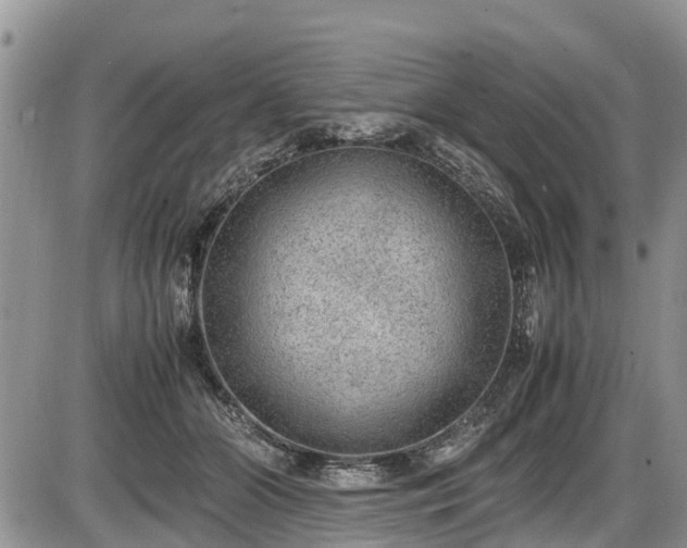 X0000085810510200703231339