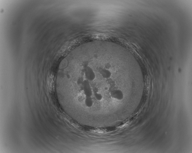 X0000085810511200703231339