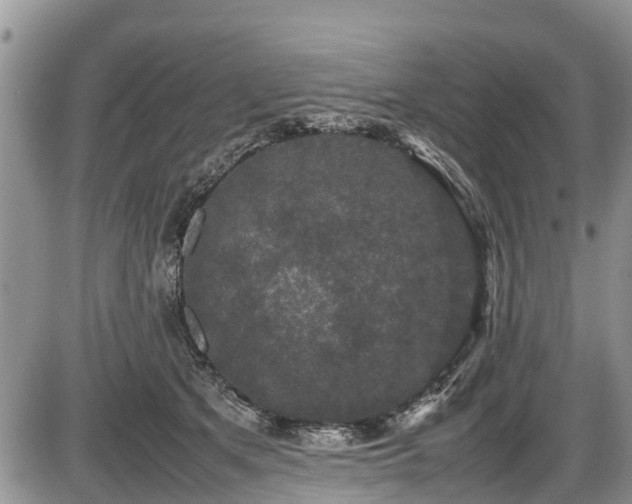 X0000085810513200703231339