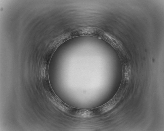 X0000085810514200703231339