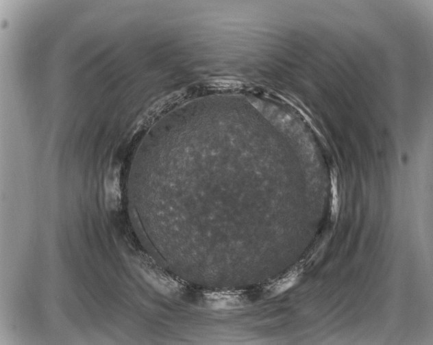 X0000085810516200703231339