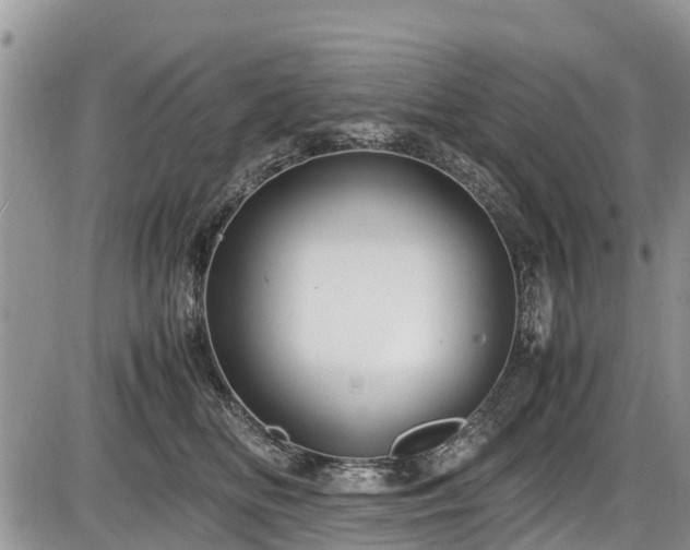 X0000085810518200703231339