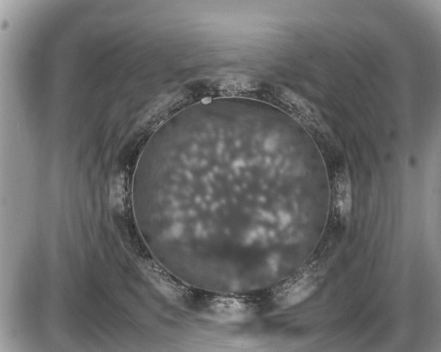 X0000085810519200703231339