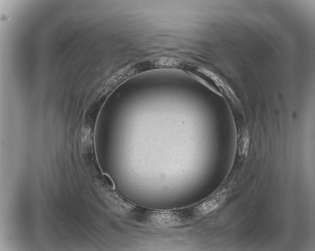 X0000085810521200703231339