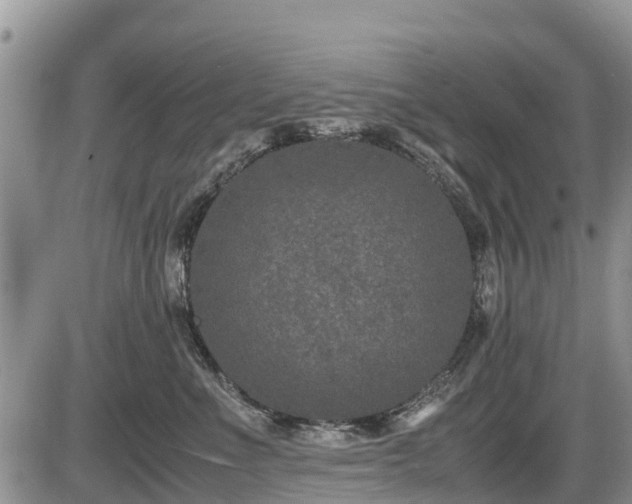 X0000085810523200703231339